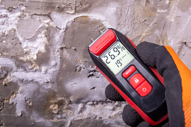Best Mold Remediation  in Vandalia, OH