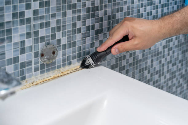 Best Mold Remediation  in Vandalia, OH