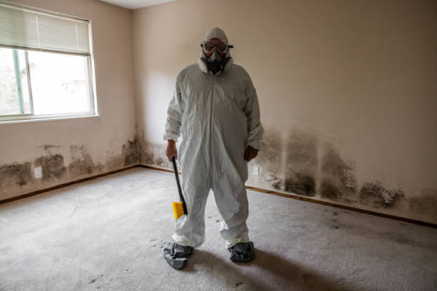 Best Mold Testing  in Vandalia, OH